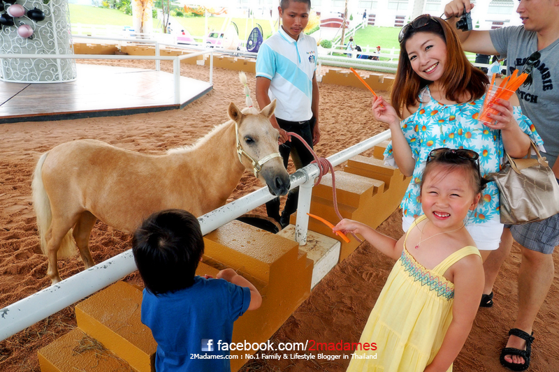 Pipo Pony Club Pattaya, ปีโป้ โพนี่ คลับ, ฟาร์มม้าแคระ พัทยา, ที่เที่ยวใหม่ 2014, สถานที่ท่องเที่ยวสำหรับครอบครัว, รีวิว, review, pantip